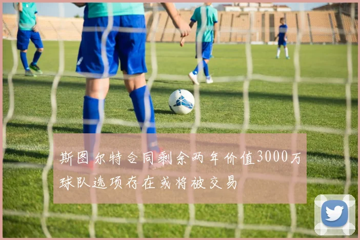 斯图尔特合同剩余两年价值3000万球队选项存在或将被交易