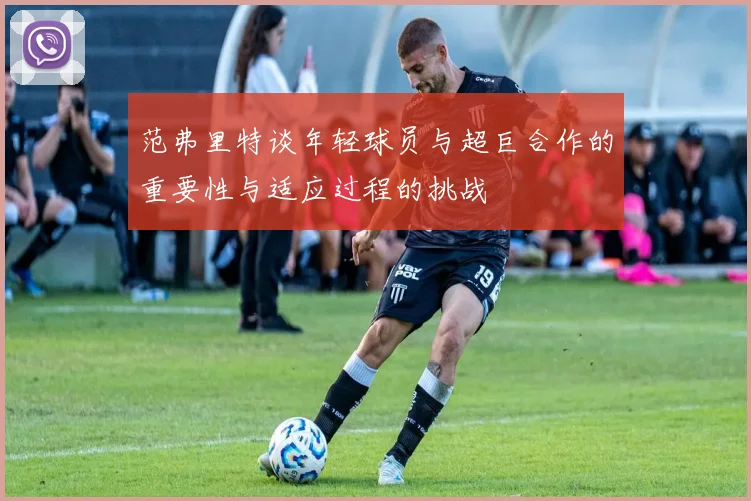 范弗里特谈年轻球员与超巨合作的重要性与适应过程的挑战